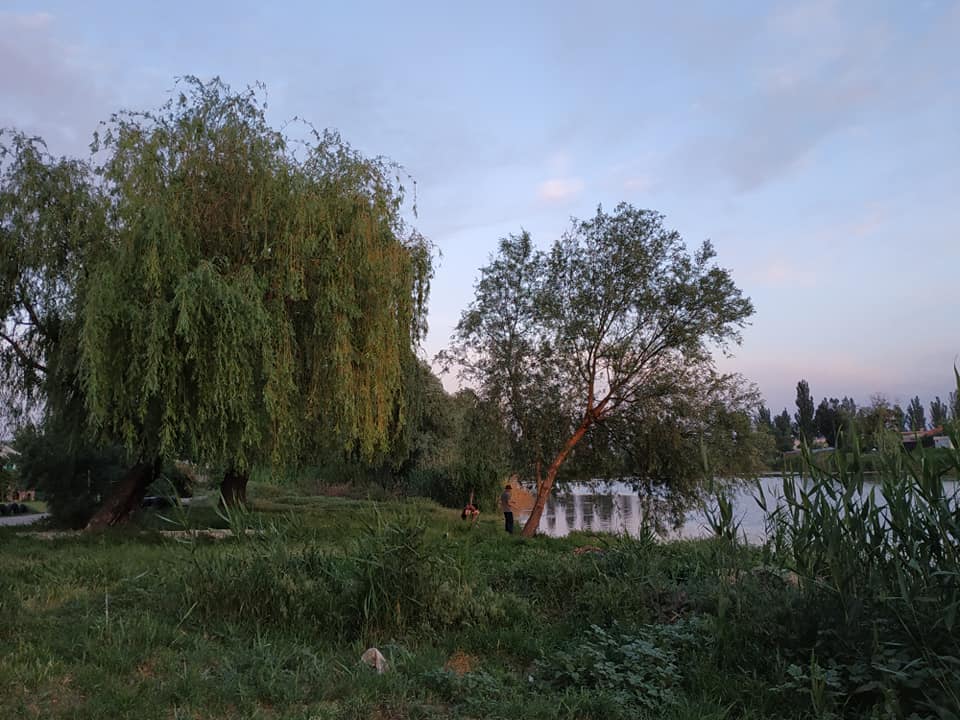 В АНД-районе Днепра есть сказочное место: глаз не отвести (ФОТО). Новости Днепра