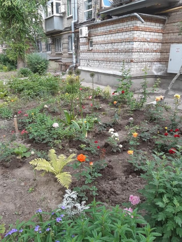 Днепряне сотворили сказку во дворе (Фото). Новости Днепра