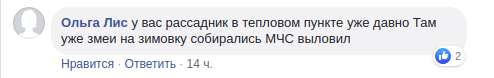 Обнаглели до предела: в Днепре змеи уже заползают в подъезды (Фото). Новости Днепра