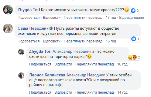 На левом берегу Днепра случился массовый расстрел уток: подробности. Новости Днепра