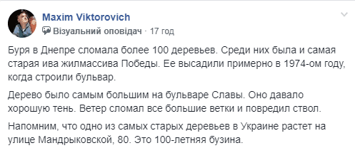 Одно из старейших деревьев Днепра уничтожено бурей (Фото). Новости Днепра