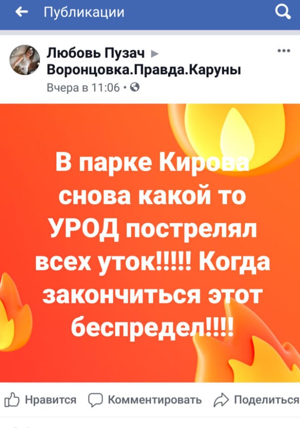 На левом берегу Днепра случился массовый расстрел уток: подробности. Новости Днепра