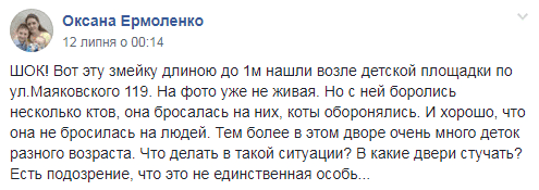 Под Днепром коты на детской площадке боролись с агрессивным хладнокровным существом (Фото). Новости Днепра