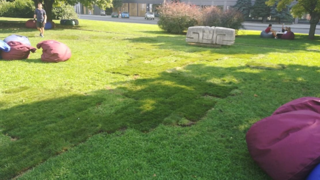 В Днепре на набережной высадят гахон (Фото).Новости Днепра