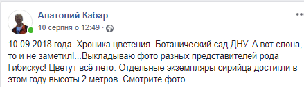 В ботсаду ДНУ зацвели сирийские Гибискусы: красота неимоверная (Фото). Новости Днепра