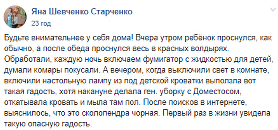 В Запорожье ядовитая сколопендра покусала ребенка. Новости Днепра