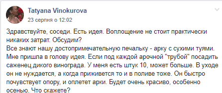 В Днепре нашли способ спасти увядшую арку на Парусе (Фото). Новости Днепра