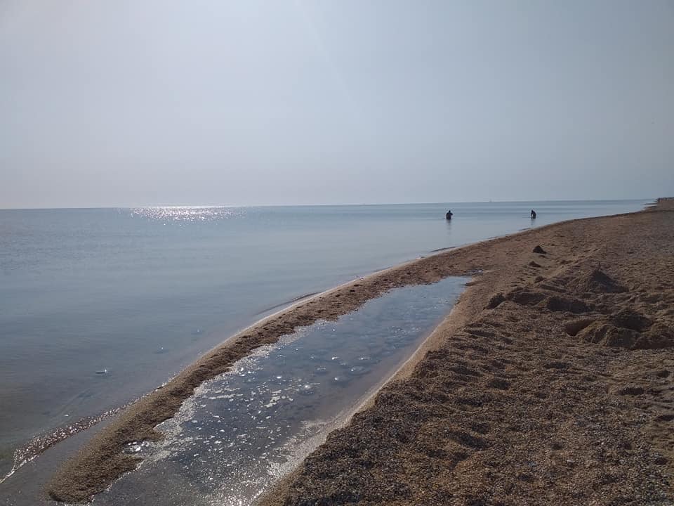 Отдых на Азовском море в сентябре: медузы наводили Арабатскую стрелку. Новости Днепра