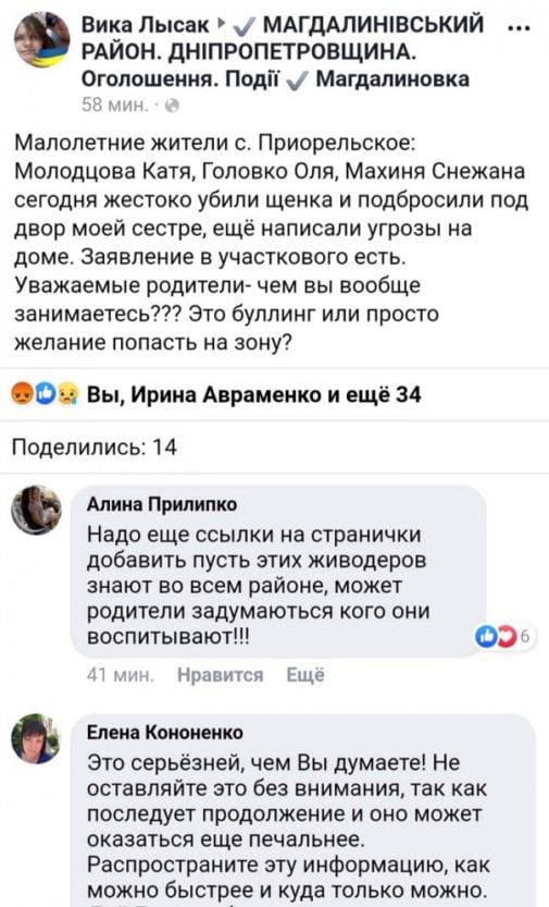 В Днепропетровской области малолетние живодерки жестоко убили щенка. Новости Днепра