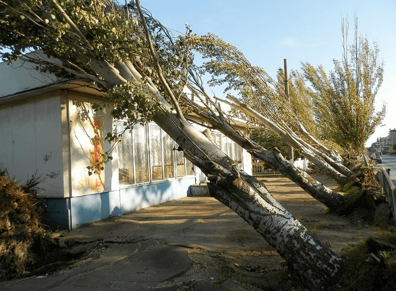 Ураган на Азовском море: в Бердянске вспоминают стихийной бедствие 5-летней давности. Новости Днепра