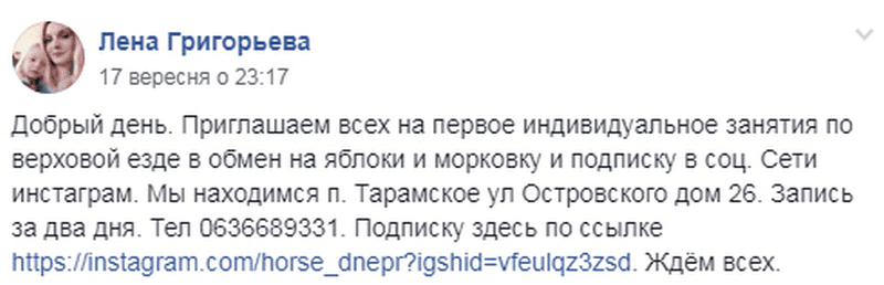 В Днепре приглашают покататься на лошадях за морковку и яблоки. Новости Днепра