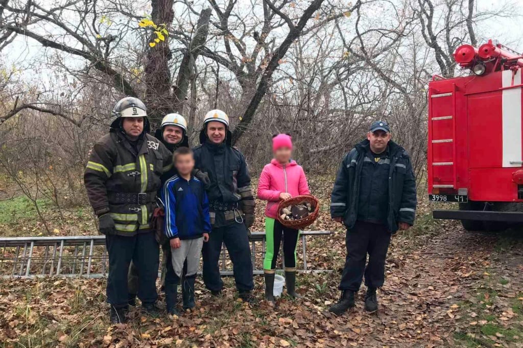 Полез на дерево за "добычей": под Днепром спасали 11-летнего горе-грибника (Фото). Новости Днепра