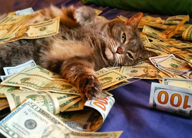 Знаки зодиака, которые скоро сказочно разбогатеют. Новости Днепра