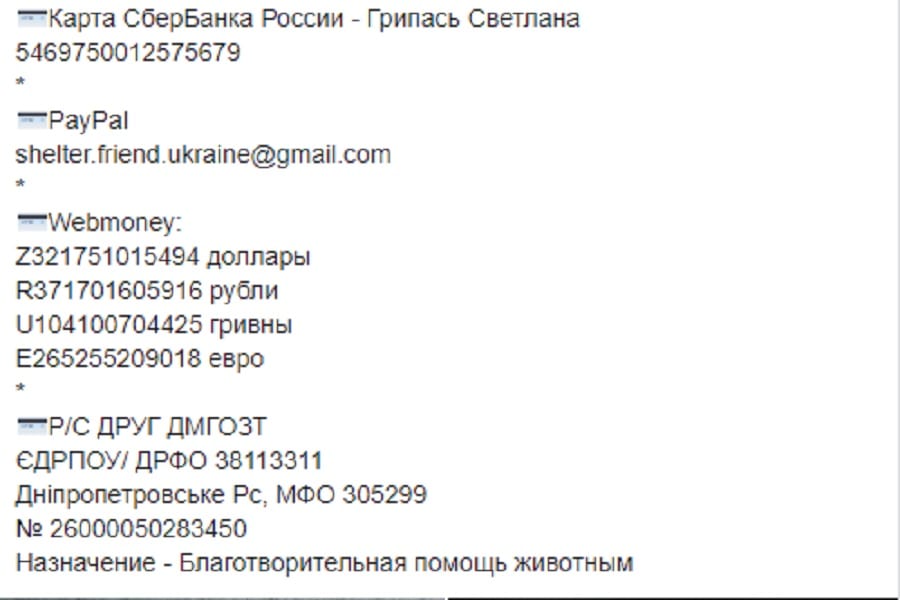 В Днепре спасают чудовищно израненную собаку: на теле нет живого места (Фото) Новости Днепра