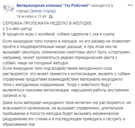 В Днепре щенок, играя с хозяйкой, съел ее сережку и едва не умер. Новости Днепра