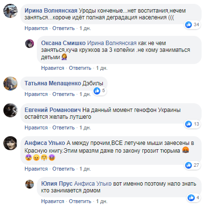 Под Днепром подростки выбрасывали с 9 этажа рыжих вечерниц (Фото). Новости Днепра