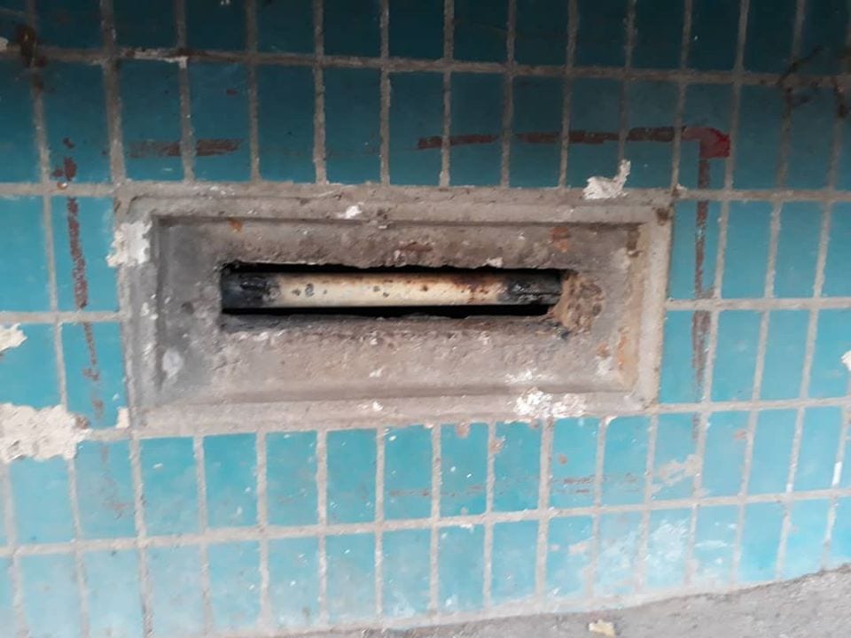 В Днепре на ж/м Парус живьем замуровали котов. Новости Днепра