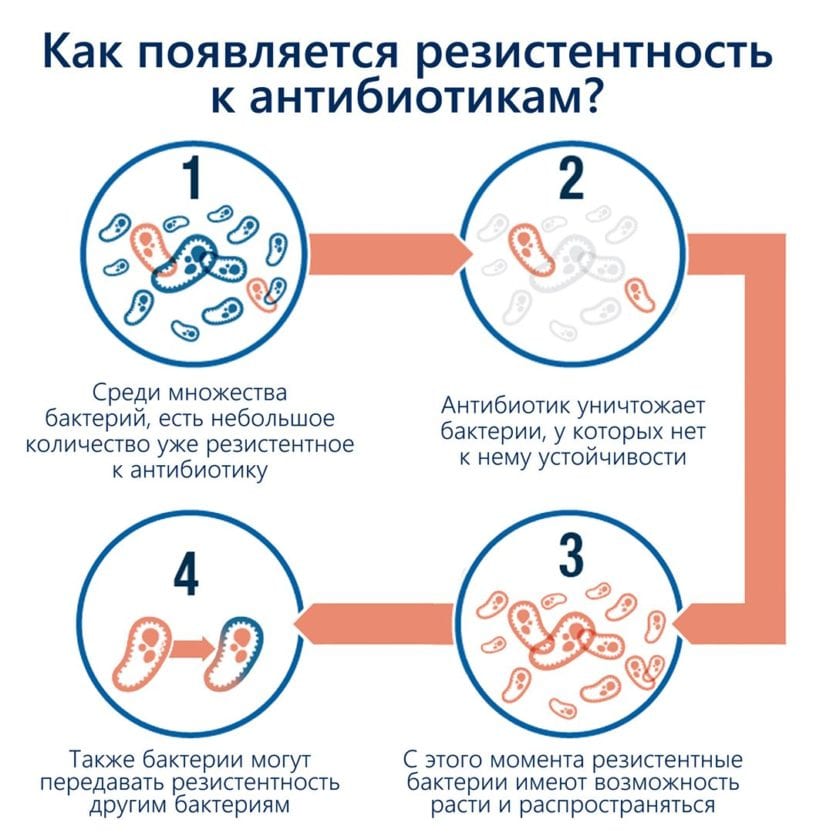 Применяйте осторожно: Комаровский дал важный совет о популярном лекарстве. Новости Днепра