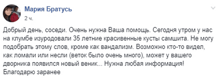 В Днепре на Солнечном вандалы изуродовали одно из самых древних растений (Фото). Новости Днепра