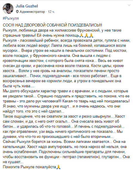 В Днепре живодеры поиздевались над дворнягой. Новости Днепра