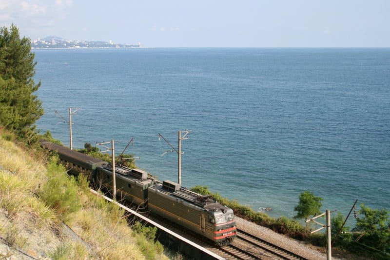 В электричке на Азовское море растут грибы: фотофакт. Новости Днепра