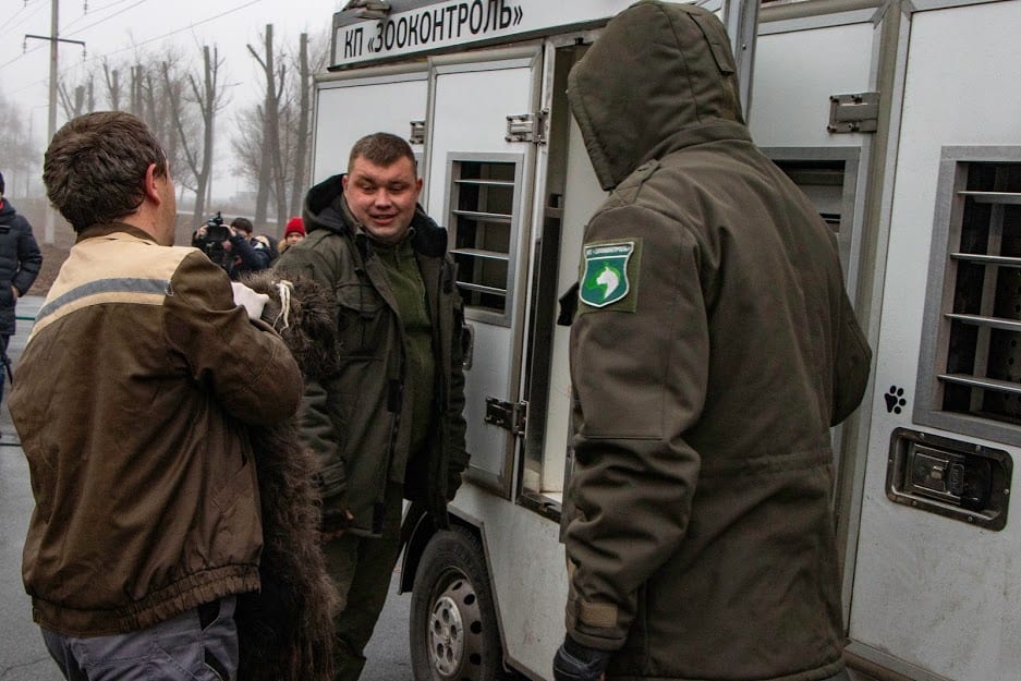 Бездомных собак, которых вывезли в Харьков, вернули в Днепр. Новости Днепра