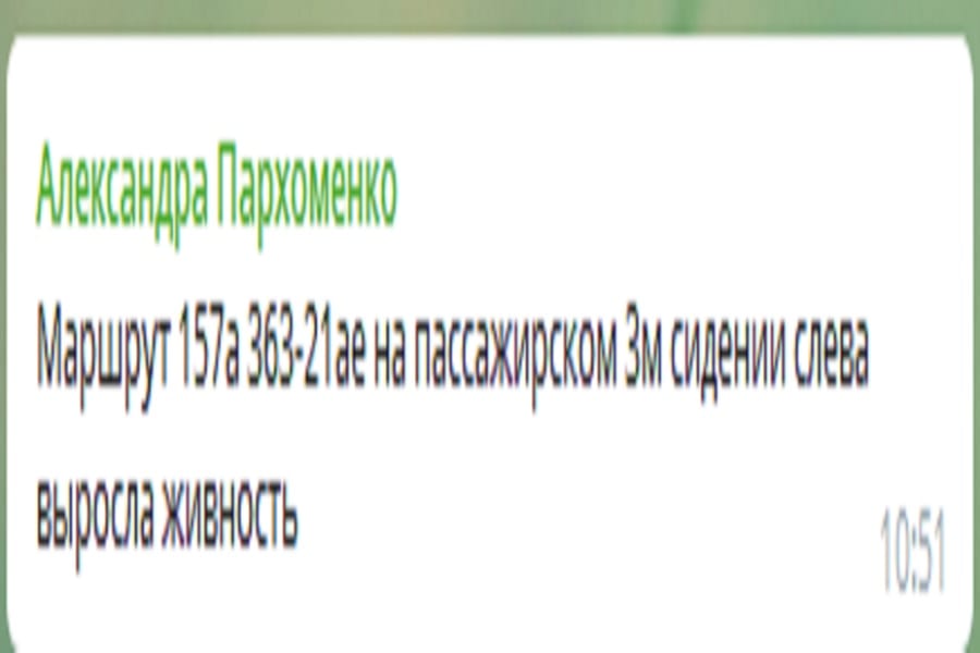 Пассажиры возмущены: в маршрутках Днепра растет мох (Фото). Новости Днепра