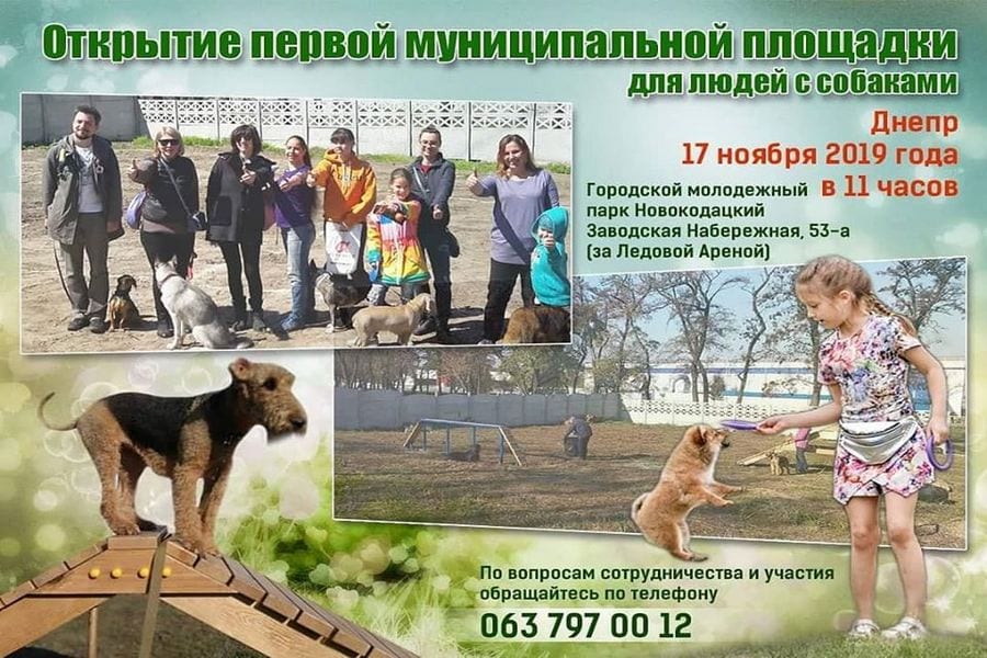 В Днепре создали первую площадку для выгула собак: когда открытие. Новости Днепра