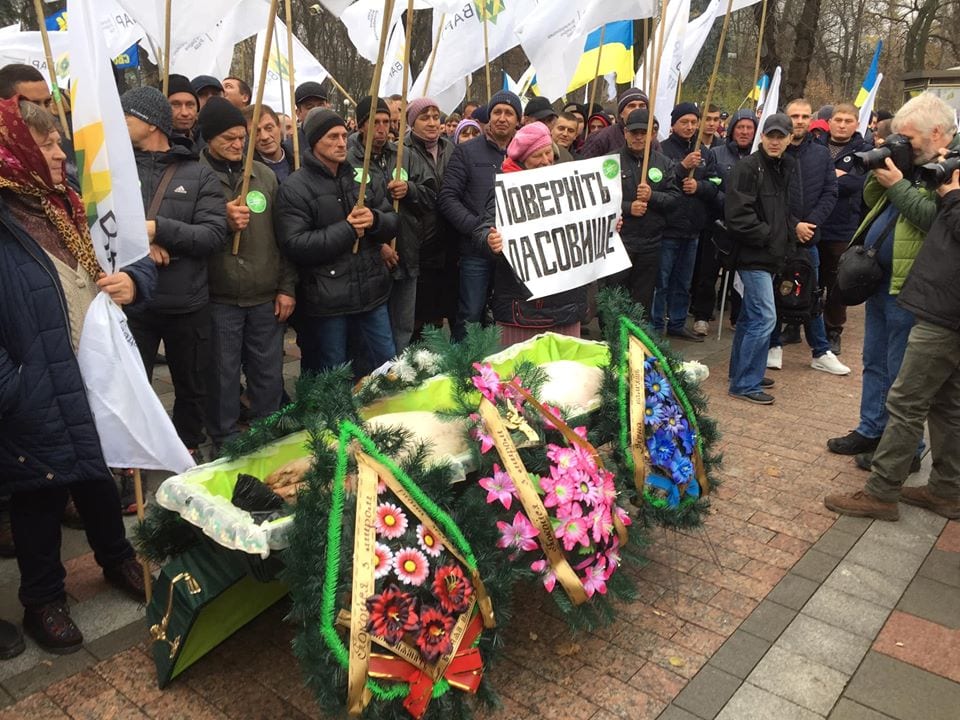 Мертвую свинью в гробу принесли под Верховную Раду: что происходит в Киеве (Фото). Новости Днепра