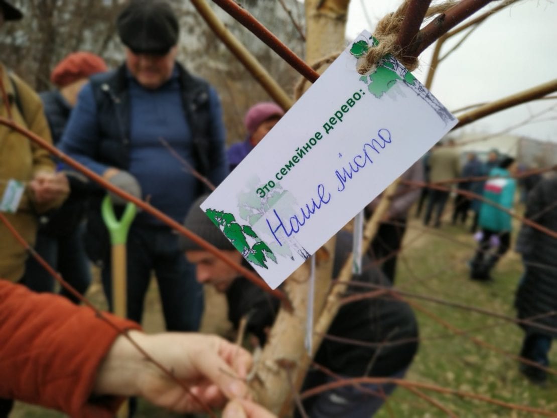 Березовый сад из 100 молодых деревьев появился на левом берегу Днепра (ФОТОРЕПОРТАЖ). Новости Днепра