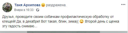 Новые жертвы: из-за аномальной зимы членистоногие уже нападают на собак