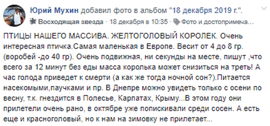 В Днепр прилетела европейская "колибри". Новости Днепра