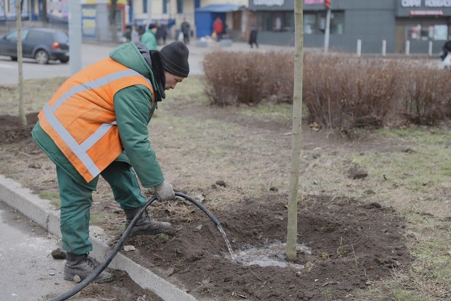 В Днепре высадят более 200 молодых деревьев. Новости Днепра