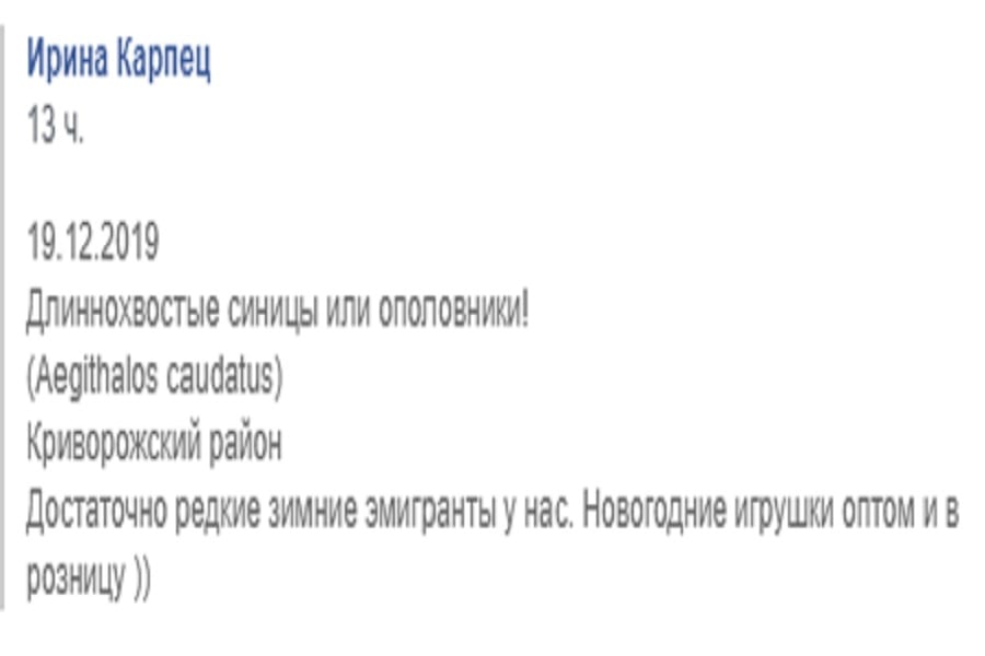 Под Днепром заметили редких птиц ополовников. Новости Днепра