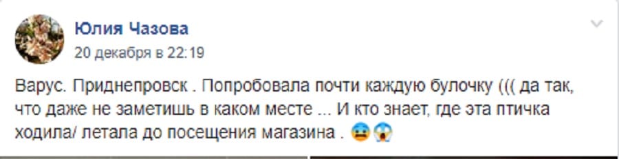 В Днепре синица в "Варусе" перепробовала всю выпечку (Фото)