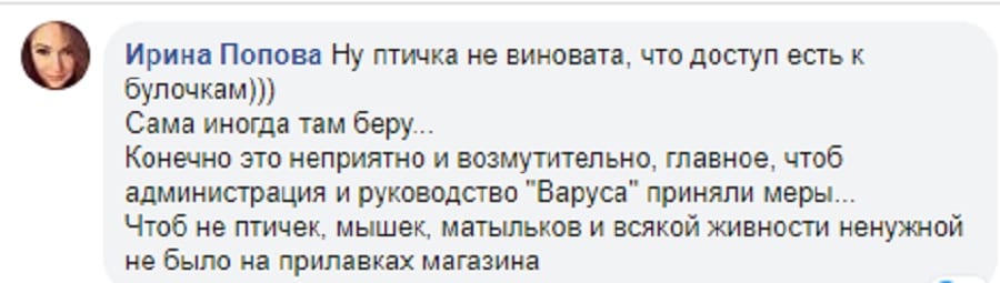 В Днепре синица в "Варусе" перепробовала всю выпечку (Фото)