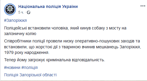 Выбросил с моста на рельсы: что стало с собакой и ее мучителем