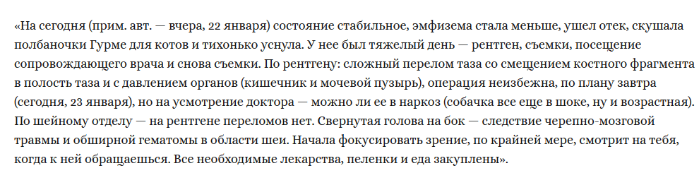 Выбросил с моста на рельсы: что стало с собакой и ее мучителем