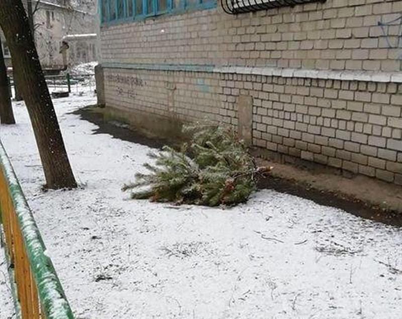 В Днепре новогодние елки выбрасывают из окон. Новости Днепра