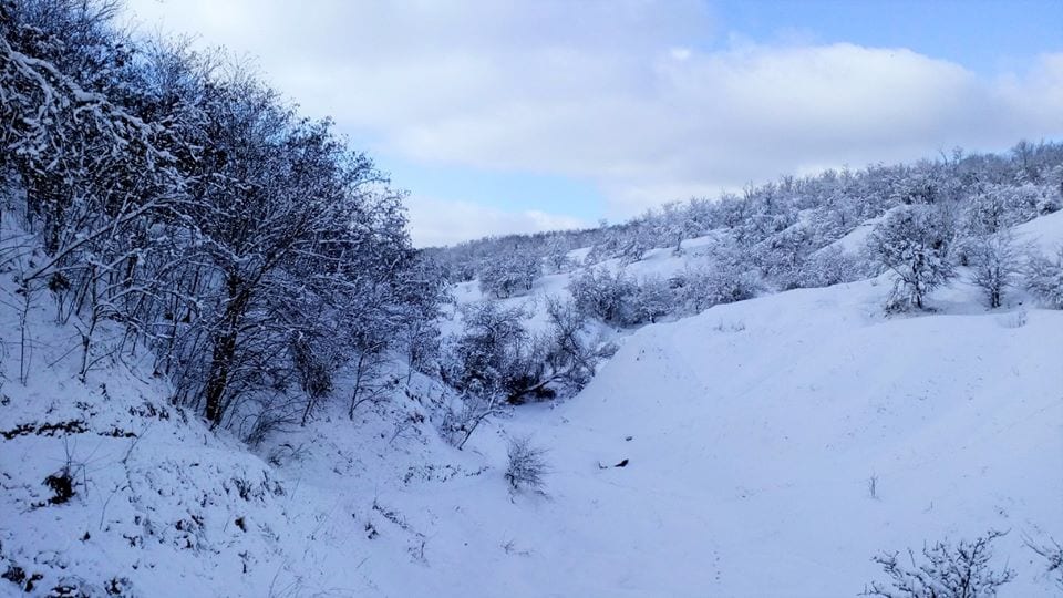 В Днепре есть собственные Карпаты: красота неописуемая (Фото)