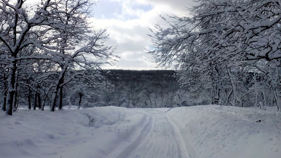 В Днепре есть собственные Карпаты: красота неописуемая (Фото)