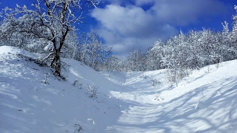 В Днепре есть собственные Карпаты: красота неописуемая (Фото)