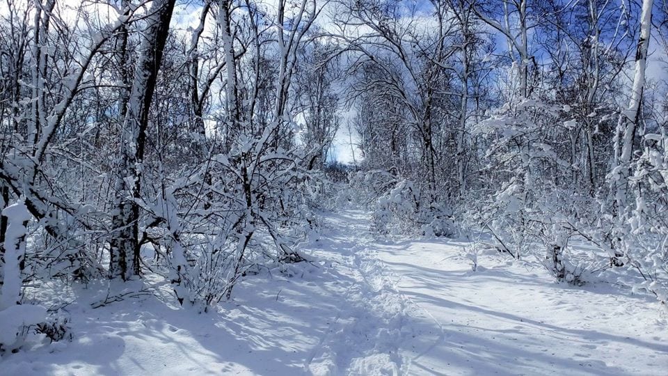 В Днепре есть собственные Карпаты: красота неописуемая (Фото)