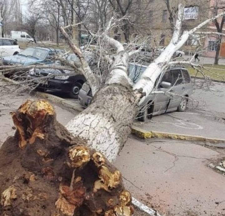 Циклон "Юлия" в Украине, последствия, фото, видео