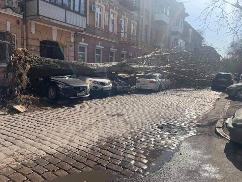 Циклон "Юлия" в Украине, последствия, фото, видео