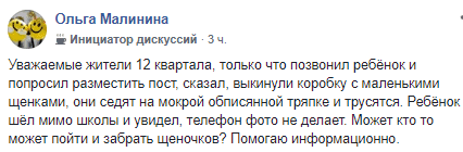 В Днепре щенят выбросили на мороз. Новости Днепра