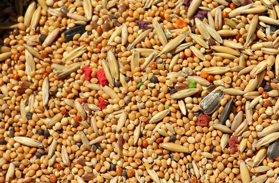 Диетологи назвали продукты, которые препятствуют развитию рака и диабета