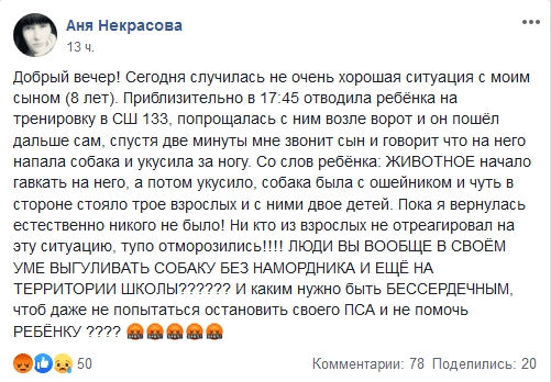 Хозяева стояли и смотрели: в Днепре собака покусала ребенка в школе