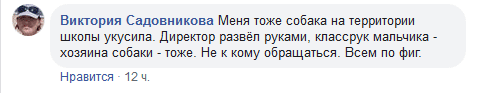 Хозяева стояли и смотрели: в Днепре собака покусала ребенка в школе