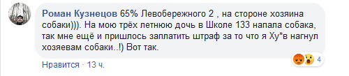 Хозяева стояли и смотрели: в Днепре собака покусала ребенка в школе